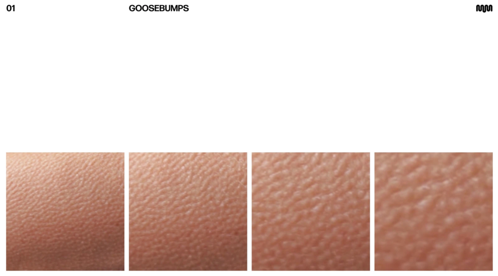 From Many Parts to One Voice: Why the MassiveMusic’s Rebrand Matters 2 image 5 RAME