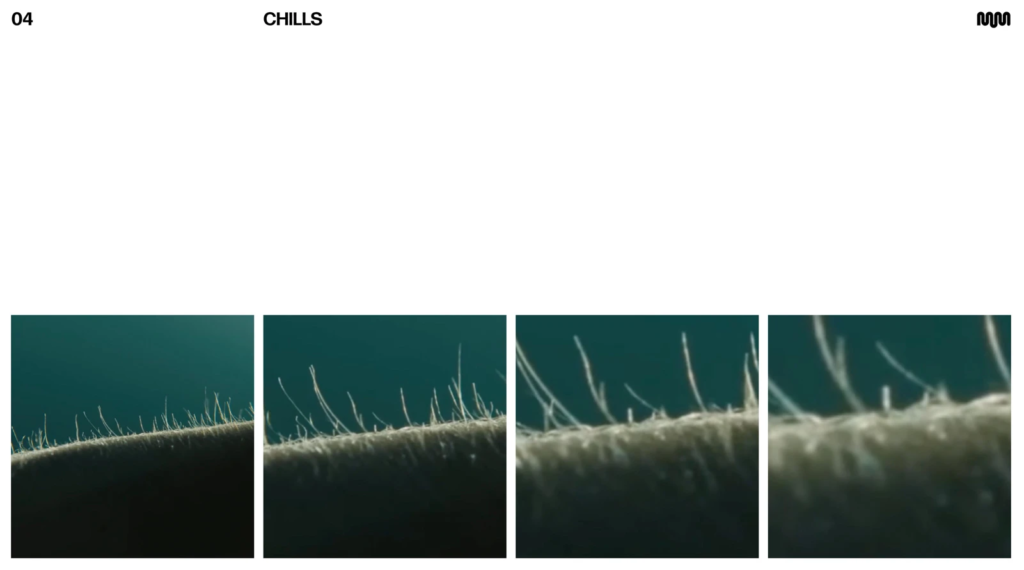 From Many Parts to One Voice: Why the MassiveMusic’s Rebrand Matters 3 image 6 RAME